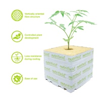 40x40x40mm Stonewool 15pk - Planting Propagation Growing Assist Block Nutrifield thumbnail