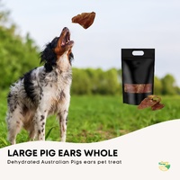 50x Dog Treat Large Pig Ears Whole  - Dehydrated Australian Healthy Puppy Chew thumbnail