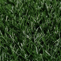 Pet Dog Potty Tray Training Toilet + 1 Grass Mat 69cm x 43cm thumbnail