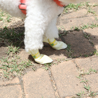 28pc X Dog Shoes Waterproof Disposable Boots Anti-Slip Pet Socks M YELLOW thumbnail
