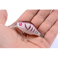 5x 5.5cm Popper Crank Bait Fishing Lure Lures Surface Tackle Saltwater thumbnail