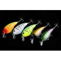5x 8.5cm Popper Crank Bait Fishing Lure Lures Surface Tackle Saltwater thumbnail