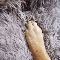 Pawfriends Dog Cat Pet Calming Bed Washable ZIPPER Cover Warm Soft Plush Round Sleeping 100 thumbnail