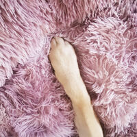 Pawfriends Dog Pet Cat Calming Bed Beds Large Mat Comfy Puppy Fluffy Donut Cushion Plush 70 thumbnail