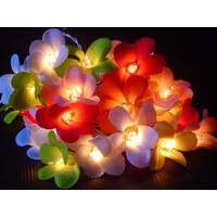 1 Set of 20 LED Tropical Bright Colous Frangipani Flower Battery String Lights Christmas Gift Home Wedding Party Decoration Outdoor Table Centrepiece thumbnail