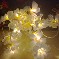 1 Set of 20 LED White Frangipani Flower Battery String Lights Christmas Gift Home Wedding Beach Party Decoration Outdoor Table Centrepiece thumbnail