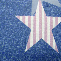 310TC Starry Love Cotton Printed Quilt Cover Set Single thumbnail