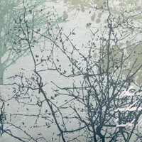 Belmondo Sherbrooke Forest Easy Care Quilt Cover Set King thumbnail