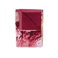 Bedding House Festival Multi Cotton Velour Beach Towel thumbnail