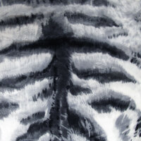 J.Elliot Home 350gsm Tiger Photo Mink Blanket thumbnail