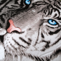 Just Home Blue Eyes Stripes Tiger Square Filled Cushion thumbnail
