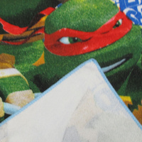 Bloomington Ninja Turtles Kids Cartoon Printed Microfiber Beach Towel 70 x 137 cm thumbnail