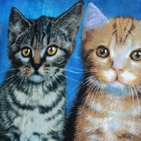 Curious Kittens Cotton Beach Towel thumbnail