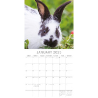 Cute Bunnies - 2025 Square Wall Calendar Pets Animals 16 Months Premium Planner thumbnail