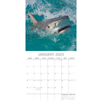 Sharks - 2025 Square Wall Calendar Pets Animals 16 Months Premium Planner Gift thumbnail