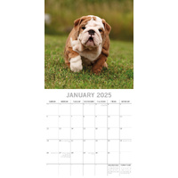 Bulldogs - 2025 Square Wall Calendar Dogs Pets Animals 16 Months Premium Planner thumbnail