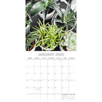 House Plants - 2025 Square Wall Calendar Floral 16 Months Premium Planner Gift thumbnail