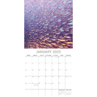 Under the Sea 2025 Square Wall Calendar 16 Months New Year Premium Planner Gift thumbnail