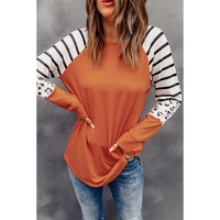 Azura Exchange Animal Print Long Sleeve Top with Striped Colorblock - L thumbnail