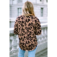 Azura Exchange Leopard Print V Neck Long Sleeve Top - XL thumbnail