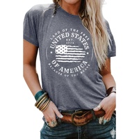 Gray United States Of America Flag Graphic Print T Shirt - XL thumbnail