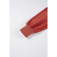 Red Clay Drop Shoulder Pocketed Baggy Drawstring Hoodie - 2XL thumbnail