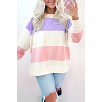 Beige Colorblock Patchwork Drop Shoulder Crewneck Sweatshirt - L thumbnail