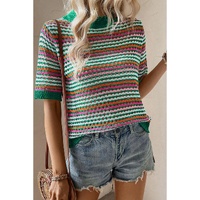 Dark Green Striped Pattern Contrast Trim Pointelle Knit T Shirt - S thumbnail