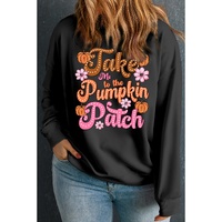 Black Take Me To The Pumpkin Patch Printed Plus Size Sweatshirt - 4X thumbnail