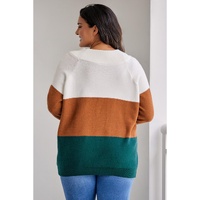 Brown Plus Size Ribbed Trim Color Block Sweater - 1X thumbnail