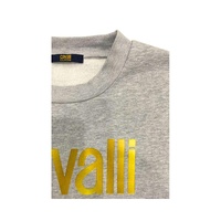 Cavalli Class Men's Gray Polyester Sweater - S thumbnail