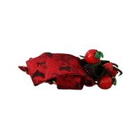 Berry Fruit Crystal Embellished Diadem Headband One Size Women thumbnail