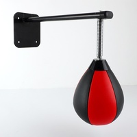 Vent Inflatable Wall-Mounted Speed Ball For Boxing And Martial Arts thumbnail