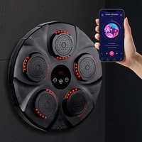 Wall Hanging Bluetooth Music Boxing Trainer - Red / Black thumbnail
