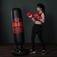 Adult Inflatable Vertical Boxing Column - 1.6M Non-Tumbler Sandbag - Crown thumbnail