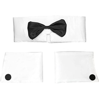 Male Stripper Set Costume Cuffs Collar & Bow Tie Waiter Fun Kit Fancy Dress thumbnail