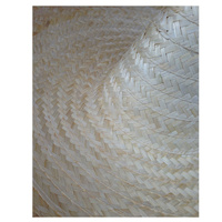 Mexican SOMBRERO Beige Fancy Dress Straw Party Costume Hat Cap Spanish thumbnail