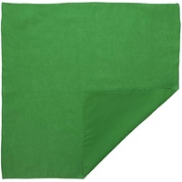 BANDANA Paisley 100% COTTON Head Wrap Durag Bandanna Summer Biker Scarf Mask - Green (Plain) thumbnail