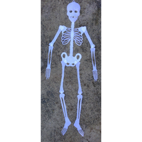 90cm Glow in The Dark Skeleton Halloween Plastic Hanging Scary Spooky Decoration - White - One-Size thumbnail