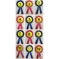 BIRTHDAY BADGE Party Favour Award Rosette Fancy Dress Girls Boys Childrens Kids - thumbnail