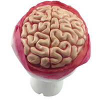Zombie Brain Skull Cap Costume Halloween Bloody Headpiece Fancy Dress Bandage thumbnail