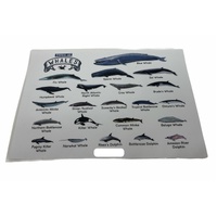 TYPES OF WHALES A4 Matte Laminated Poster Print Fish - 210mm x 297mm thumbnail