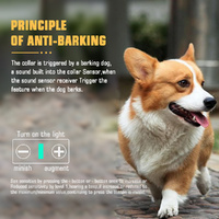 Reflective Dog Collar with Adjustable Strap and Durable Buckle,High Visibility for Night Safety thumbnail