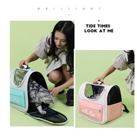 Purple Transparent Pet Carrier Backpack for Cats and Small Dogs thumbnail