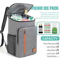 Insulated Cooler Backpack- Stylish Portable Fresh-keeping Picnic Outdoor Backpack and Travel Bag 18L (Gray) thumbnail