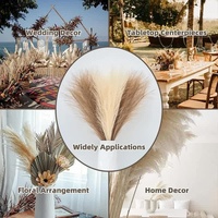 20 sticks Grass Green Pampas Grass Bouquet-21.65" Fluffy Dried Pampas for Home Decor and Events thumbnail