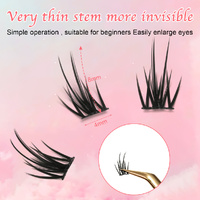6 set Different sizes Natural Segment Cluster Eyelashes - Ultra-Thin Invisible Band, Perfect for Beginners, DIY Lash Extension thumbnail