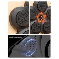 Smart Interactive Boxing Target Wall Pad with Boxing Gloves for Adult - LED Training Board with Bluetooth Music and Adjustable Speed thumbnail