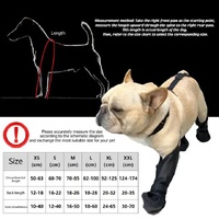 XS Waterproof Non-Slip Dog Shoes - All-Season Dog Boots for Protection, Anti-Slip Pet Footwear, Durable and Comfortable thumbnail
