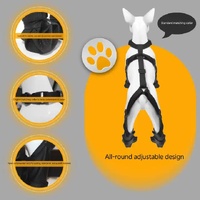 XXL Waterproof Non-Slip Dog Shoes – All-Season Dog Boots for Protection, Anti-Slip Pet Footwear, Durable and Comfortable thumbnail